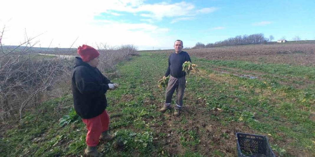 4 mevsim toprakta emek veriyorlar! Karı-koca bir mesai: Aracısız pazara ulaşıyor 2